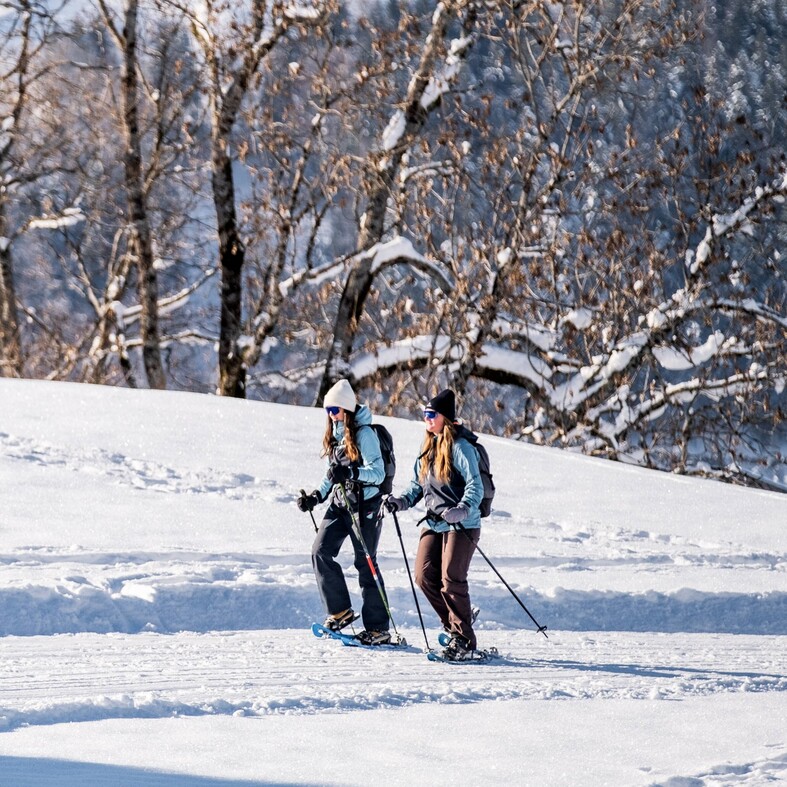 Piéton et Raquettes à neige